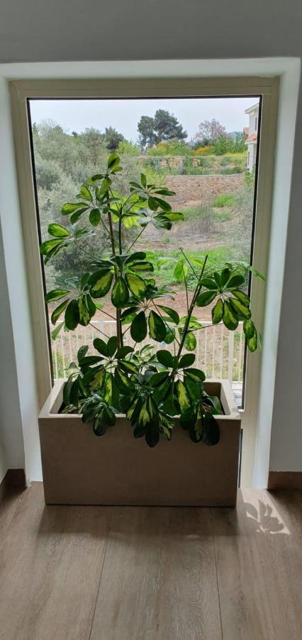 מטולה Villa Sabag At Metulla מראה חיצוני תמונה